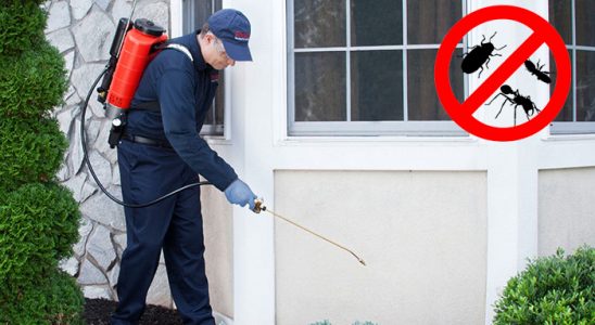 Germiyan Bit İlaçlama böcek ilaçlama ve haşere kontrolü — ilaclama-tr.com